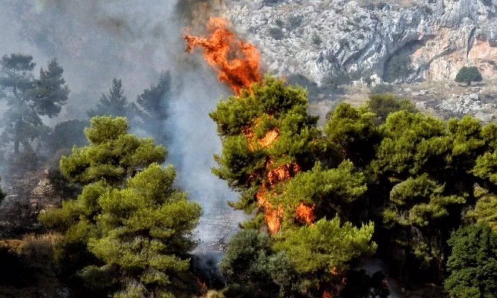 Εύβοια: Ξέσπασε φωτιά πριν λίγο στον οικισμό Ζαράκων (Εικόνες)